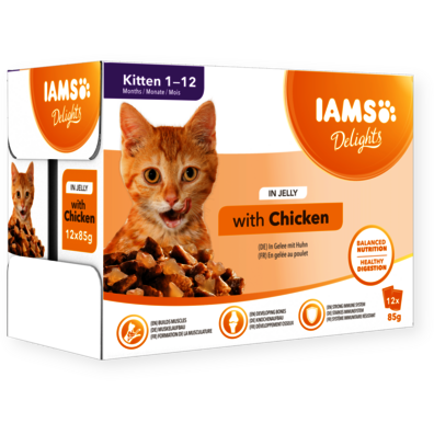 Iams naturally sale cat food pouches