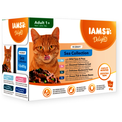 Iams delights senior cat food hotsell