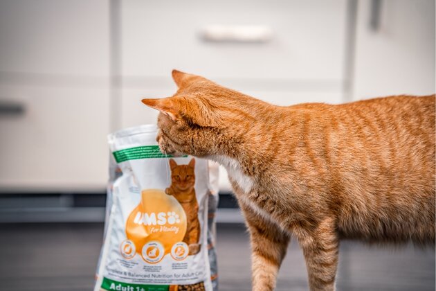 Specially selected for your cat FOR VITALITY IAMS