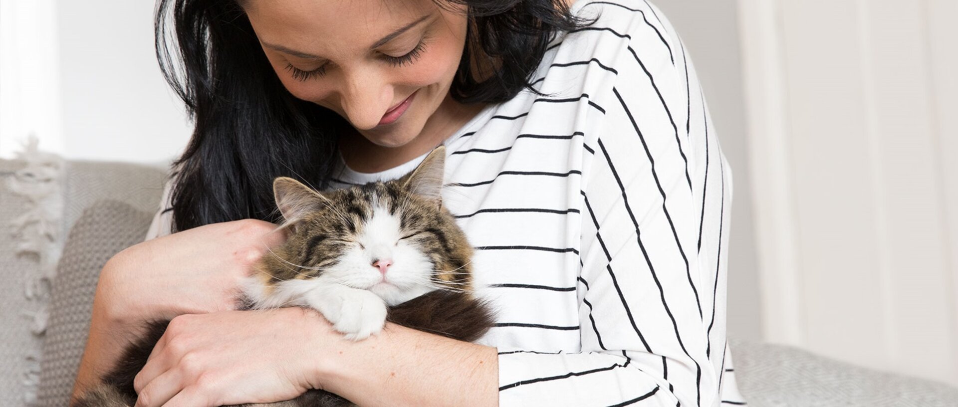 Bedstefar høste Anvendt Adopter en ældre kat » IAMS