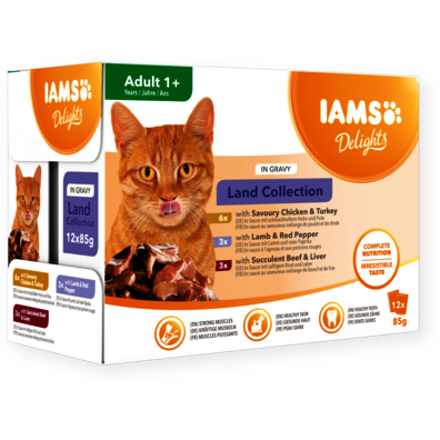 Iams cat sale food wet