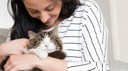 A content cat sleeps in a person's embrace. The person looks down lovingly, wearing a striped shirt, seated on a cozy couch in a softly lit room.